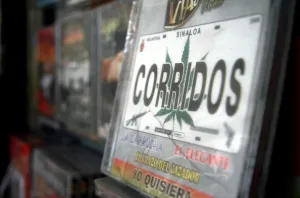 En Sinaloa volverán a sonar los narcocorridos en bares y restaurantes