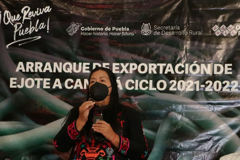 Vincula SDR a productores para exportar ejote a Canadá