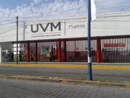 Contacto directo con autoridades de San Andrés para seguridad de universitarios en la UVM