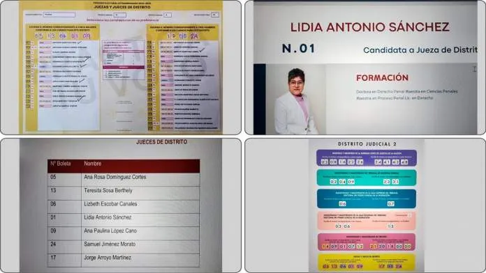 Lidia Antonio Sanchez Jueza Eleccion Judicial