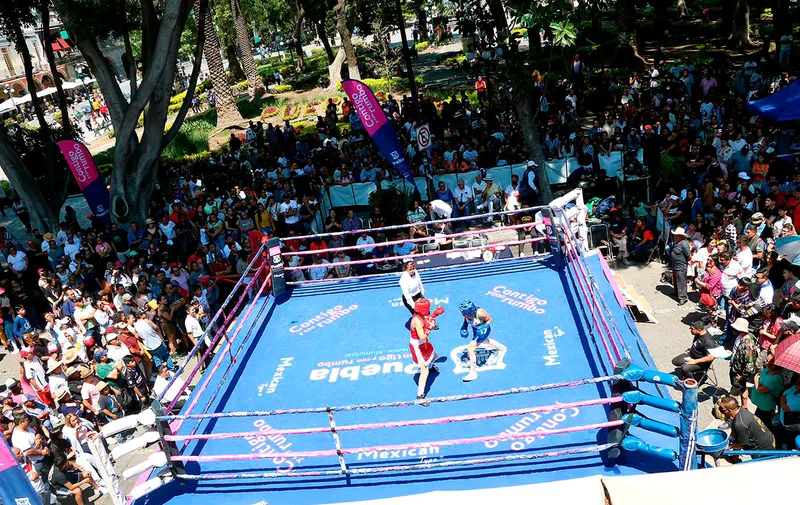 torneo-de-barrios-de-box-puebla