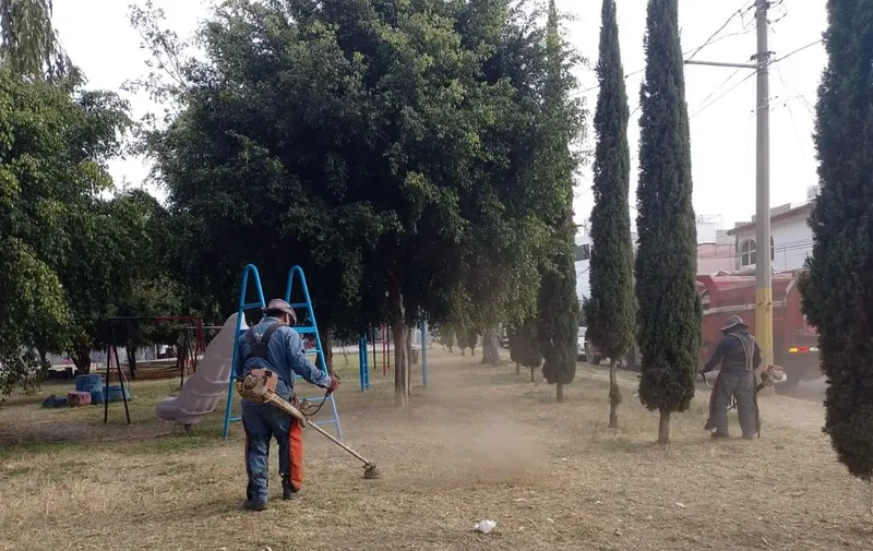 Imagen del artículo