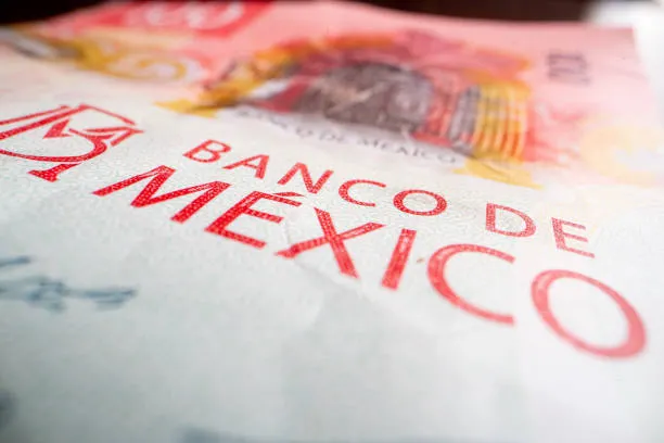 Detalle artístico macro en billete de 100 pesos mexicanos