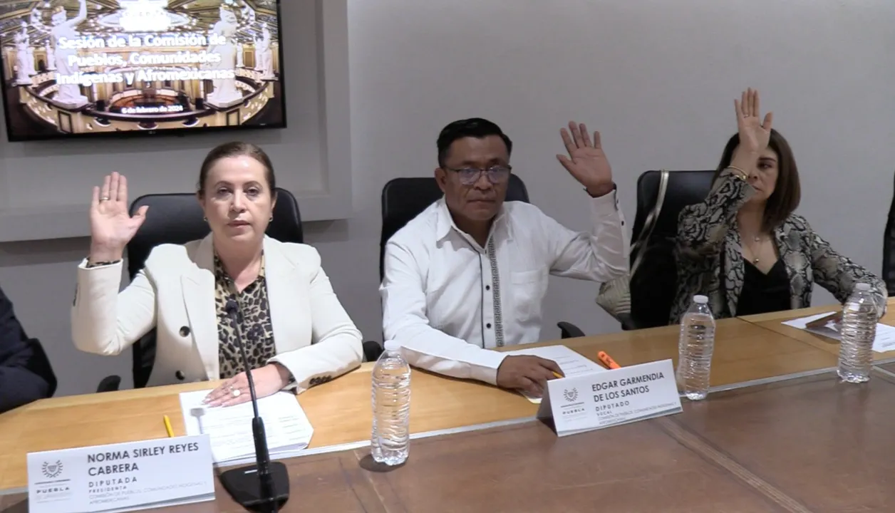 Congreso Pue Comision Pueblos Comunidades Indigenas Afromexicanas