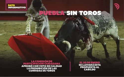 En Comisión de Participación Ciudadana, aprueban prohibir las corridos de toros 