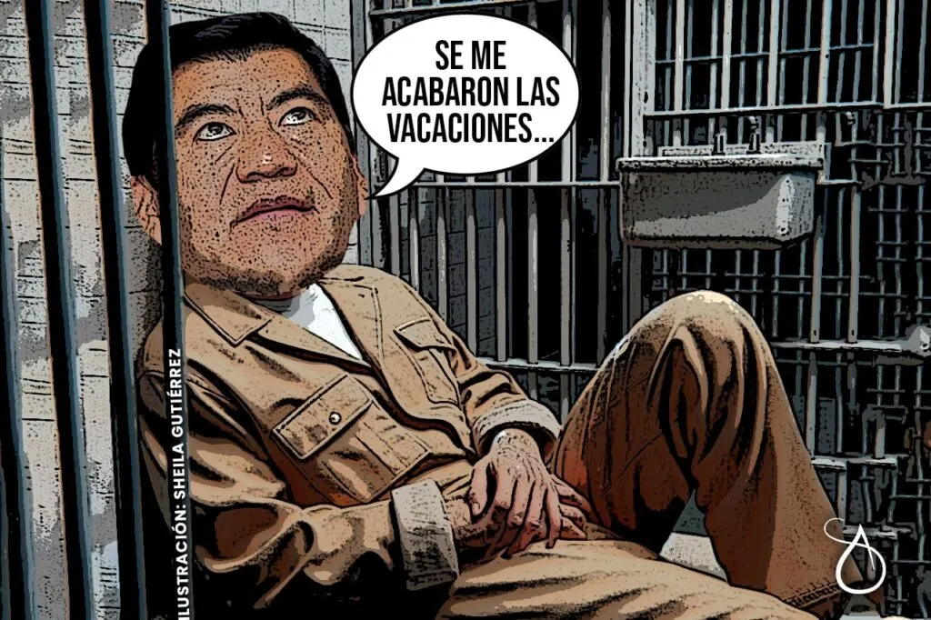 Ilustración: Sheila Gutiérrez