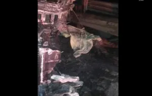 Mueren consumidos por fuego en choque sobre la Puebla-Orizaba