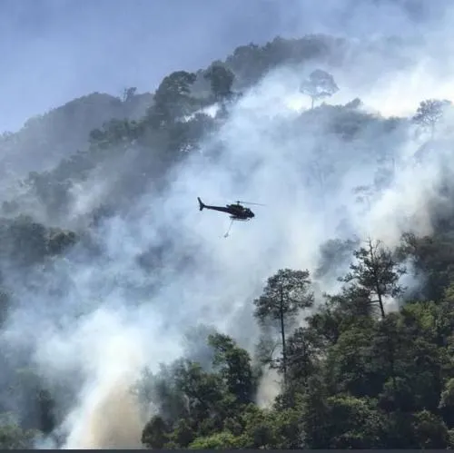 Gobierno del Estado y Federación actuarán penalmente contra quienes provoquen incendios forestales