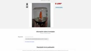 Mercado Libre oferta figura religiosa en un cheto