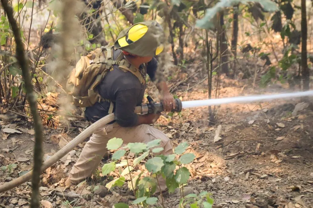 Incendio En Zacatlan