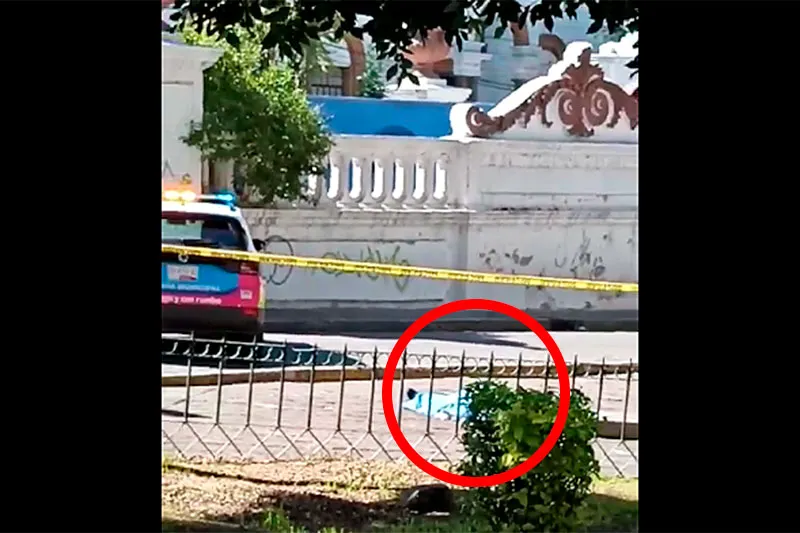 Viene Viene Deceso Paseo De San Francisco