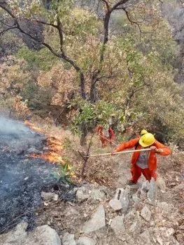 En Michoacán, continúan labores para sofocar incendio forestal