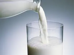 Productores de leche plantean estrategias de apoyo