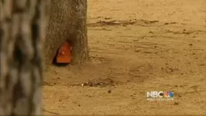 Descubren casa de duendes en Estados Unidos: VIDEO