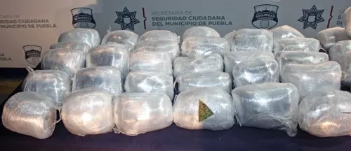 Policía municipal de Puebla aseguró cerca de 100 kilogramos de posible marihuana