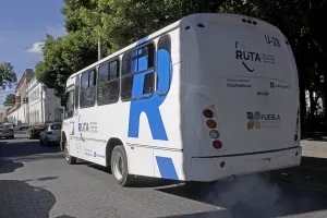 Dictamen SIT para nuevas alimentadoras, listo en 15 días
