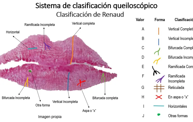 La cavidad oral aporta rasgos característicos para identificar a las personas: BUAP