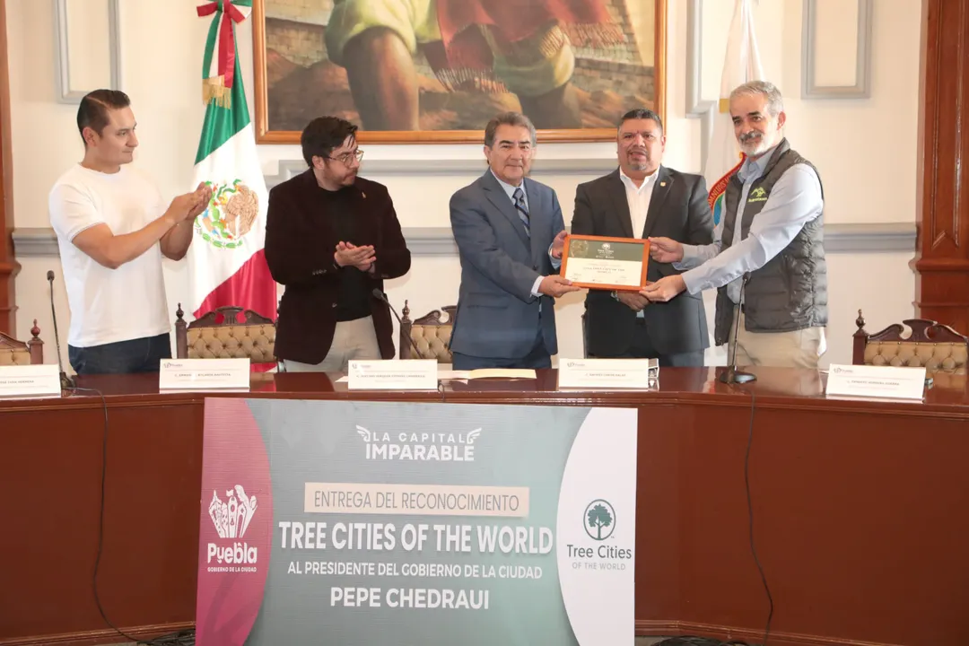 Tree Cities of the World