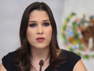 INAI buscará penas contra entidades que no armonicen Ley de Transparencia