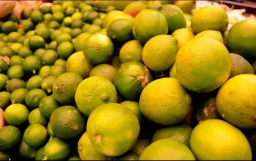 Heladas y plaga impulsan alza al precio del limón