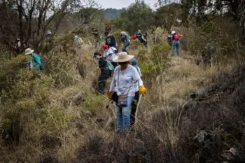 Refuerza Gobierno federal búsqueda de personas desaparecidas con nuevas herramientas y reporta más de 13 mil localizaciones
