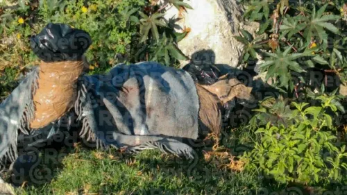 Tiran cadáver embolsado y encobijado en la colonia México 83