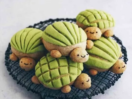 Llegaron las adorables ‘Tortuconchas’