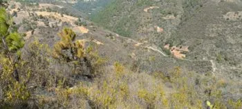 Control al 100% de incendios forestales en Ixtacamaxtitlán y Vicente Guerrero