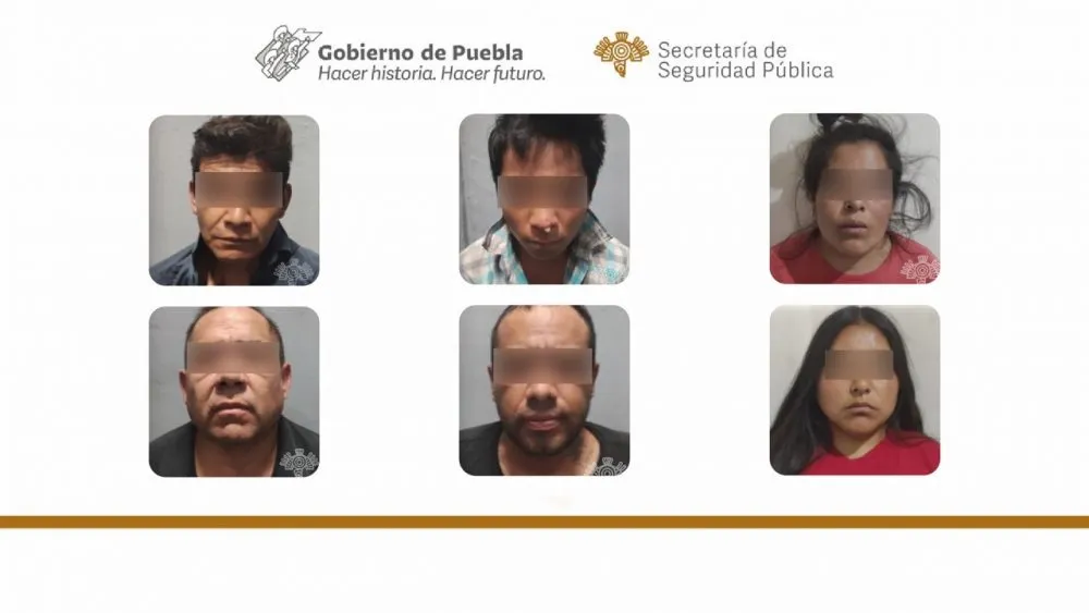 Pelón del Sur