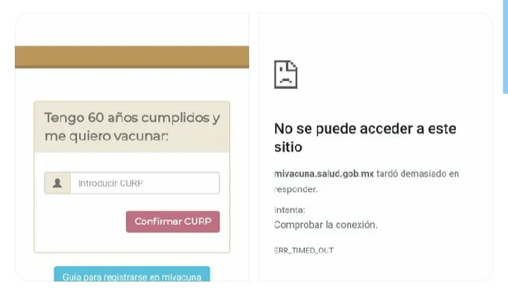 ¡Qué oso! Abren registro en línea para vacuna anti-Covid, plataforma colapsa