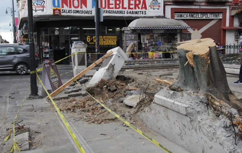 Foto: Andrea Vicente Sandoval / EsImagen