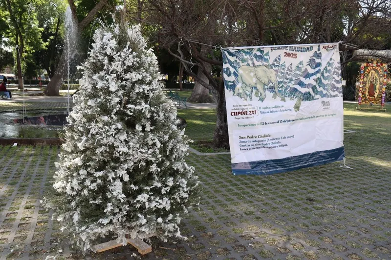 sp-cholula-verde-navidad