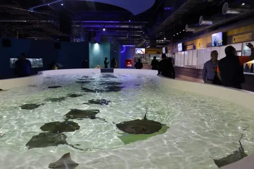 Acuario Michin provocará derrama económica superior a los 500 mdp. en Parque Puebla