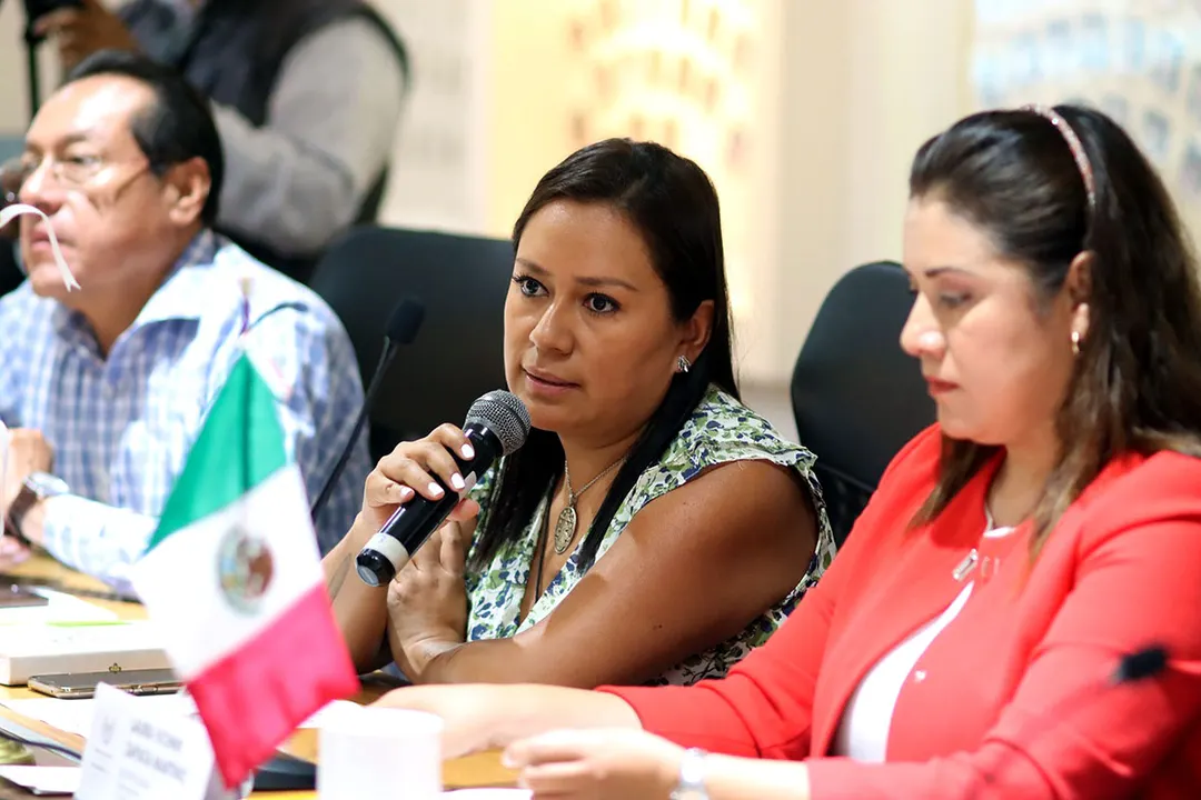 Ruth Zarate Dominguez