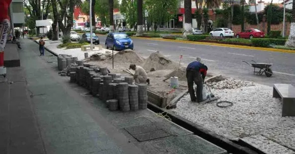 Suspenden obra en la Av. Juárez por afectar áreas verdes