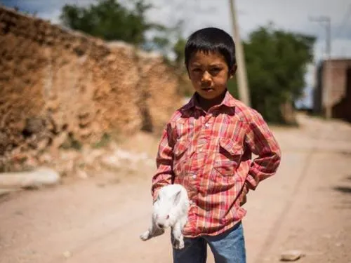 Mitad de niños mexicanos viven en pobreza: Unicef