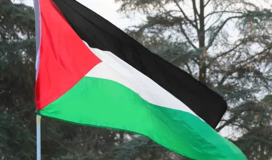 Reino Unido reconocerá a Palestina como Estado si Israel no acuerda alto al fuego en Gaza