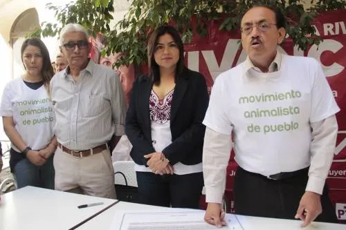 Cuestiona Rivera Vivanco el actuar del IEE en materia de violencia política de género
