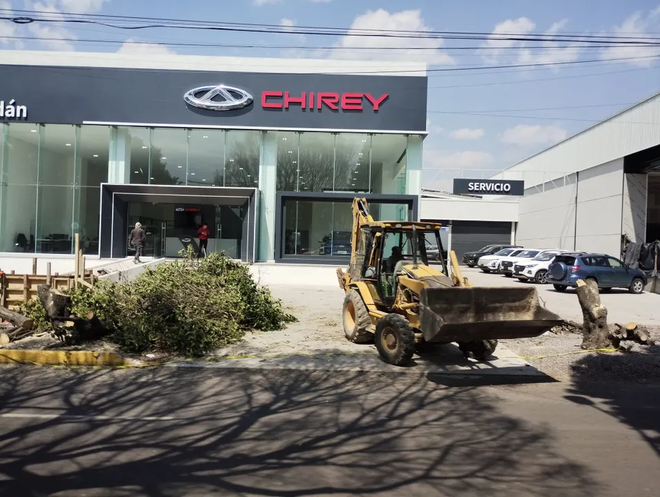 Concesionaria de autos Chirey Serdán taló seis árboles porque “estorbaban su fachada”