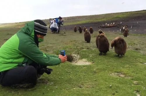 Egresado de la UDLAP realiza trabajo de campo en Islas Falkland