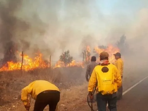 Continúa combate a incendio forestal en Arteaga, Coahuila