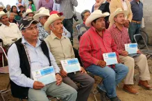 Impulsa Puebla establecimiento de plantaciones forestales comerciales