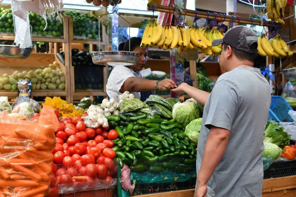 Inflación baja a 3.55% en México; Sheinbaum destaca caída del precio del jitomate