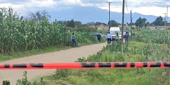 Hallan ejecutado entre milpas de Coronango