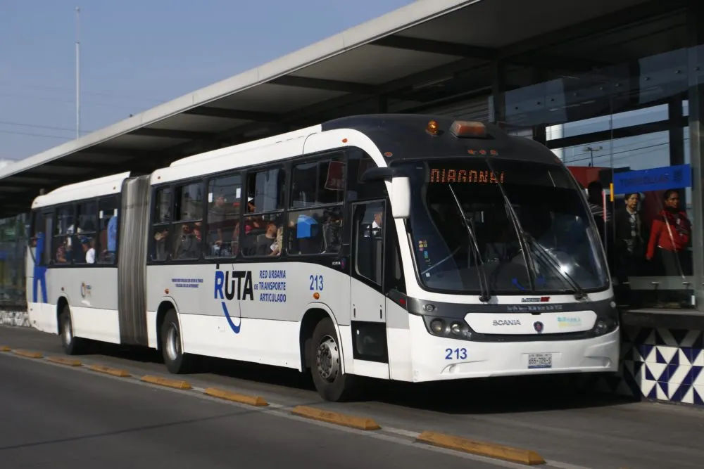 RUTA