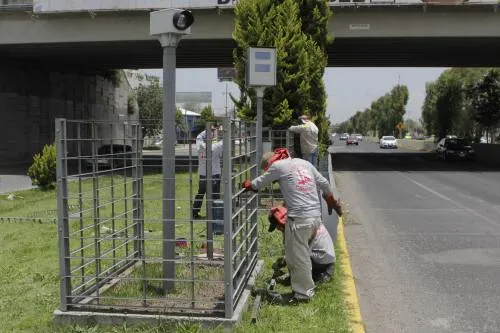 Los propios vecinos piden instalación de fotomultas en vialidades de la capital: Banck