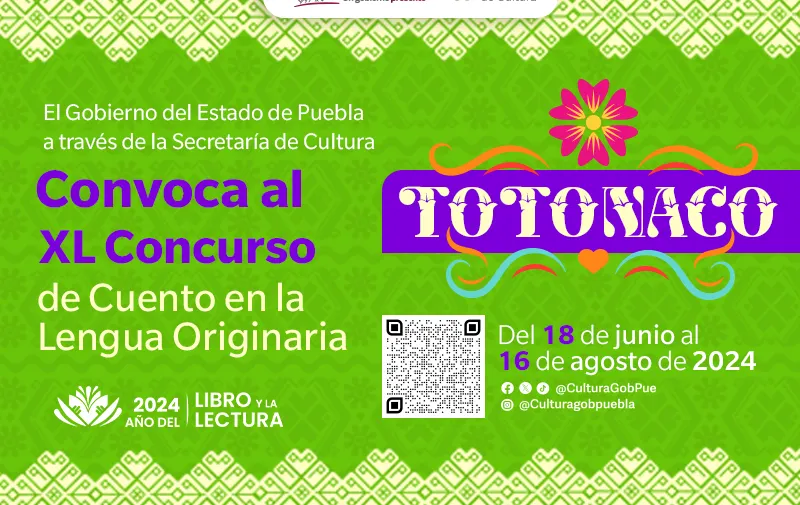 Imagen 5