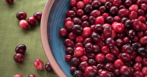 Crece en Puebla el cultivo de arándano considerada la súper fruta del siglo XXI