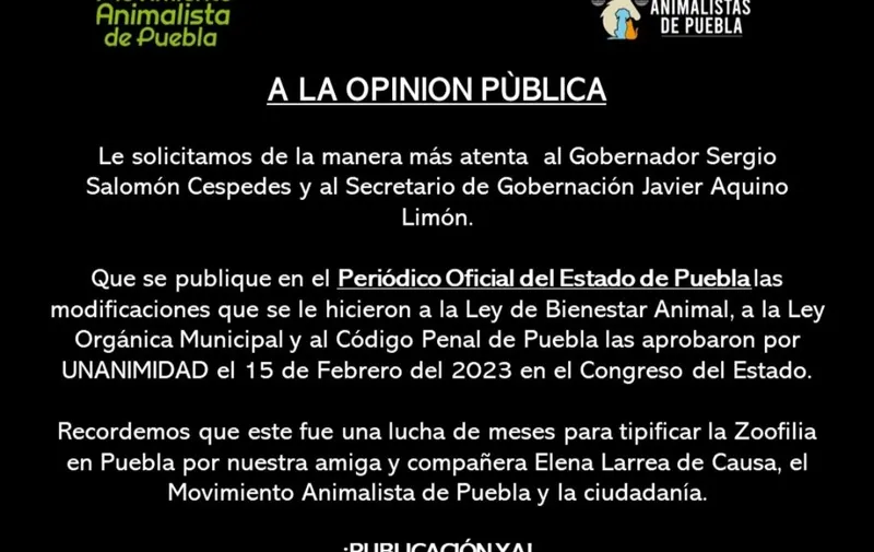 Imagen del artículo