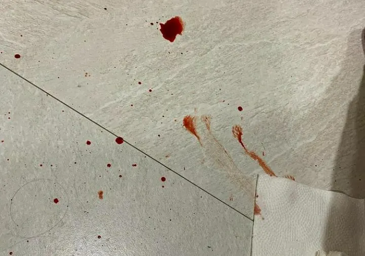 Imagen del artículo